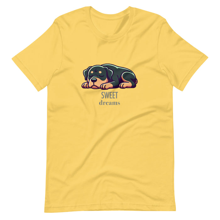 Dreams ADULT Tee