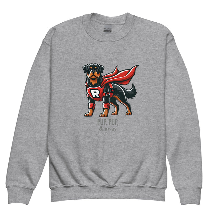 Superhero Youth Sweatshirt